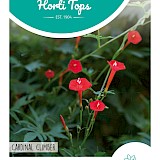 HT Klimmende Winde Zaden Cardinal Climber