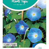 HT Klimmende Winde Zaden Clark's Blue