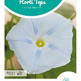 HT Klimmende Winde Zaden Milky Way