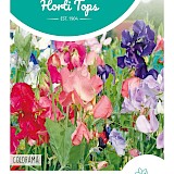 HT Reuk-of Siererwt Zaden Colorama