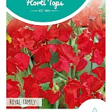 HT Reuk- of Siererwt Zaden Royal Family Rood