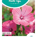 HT Bekermalva Zaden Roze-rood
