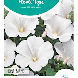 HT Bekermalva Zaden Mont Blanc