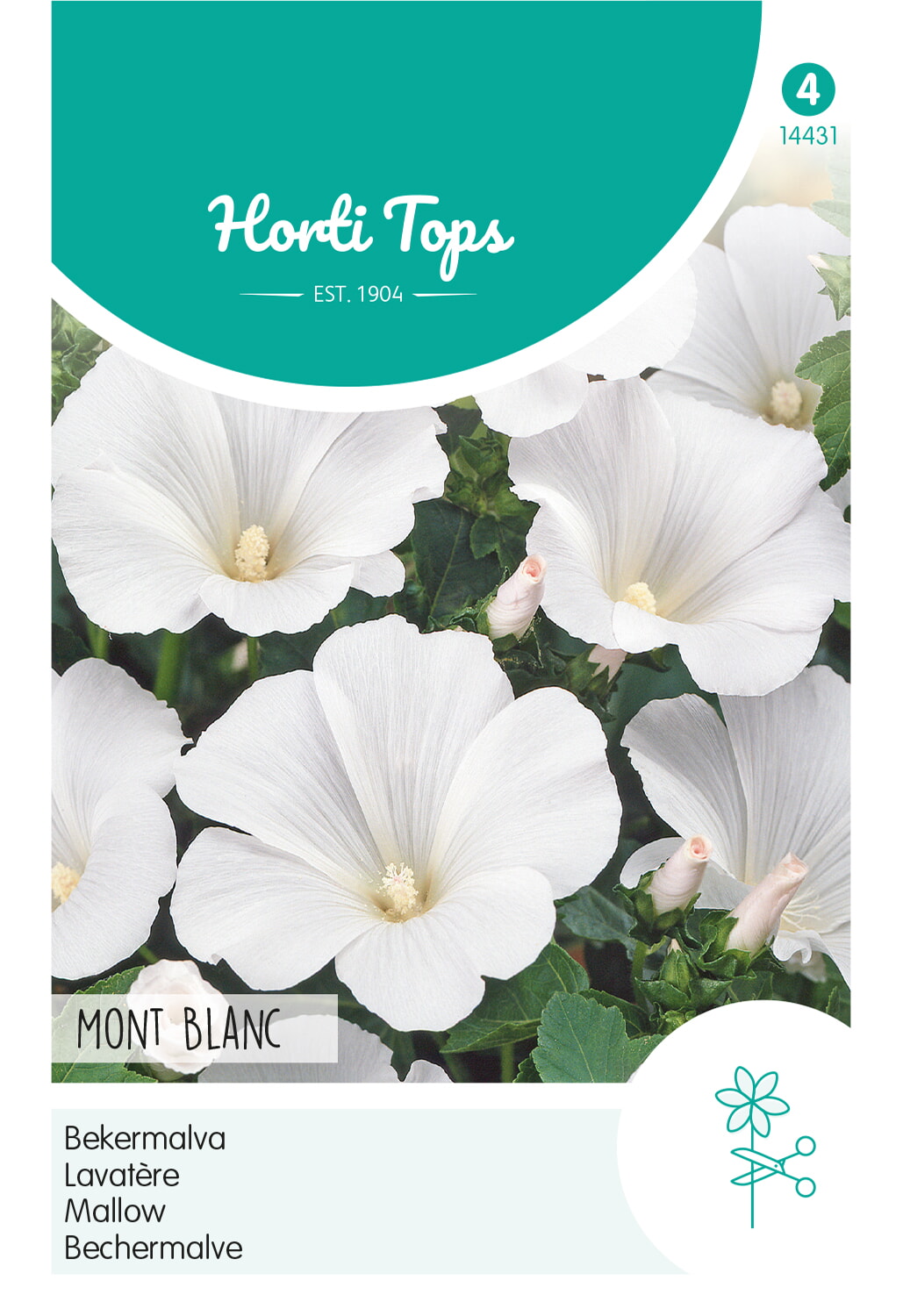 HT Bekermalva Zaden Mont Blanc