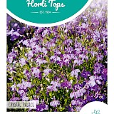 HT Lobelia Zaden Crystal Palace