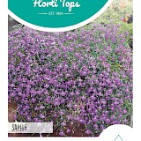 HT Hanglobelia Zaden Saphir