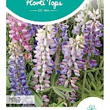 HT Lupine Zaden Gemengd