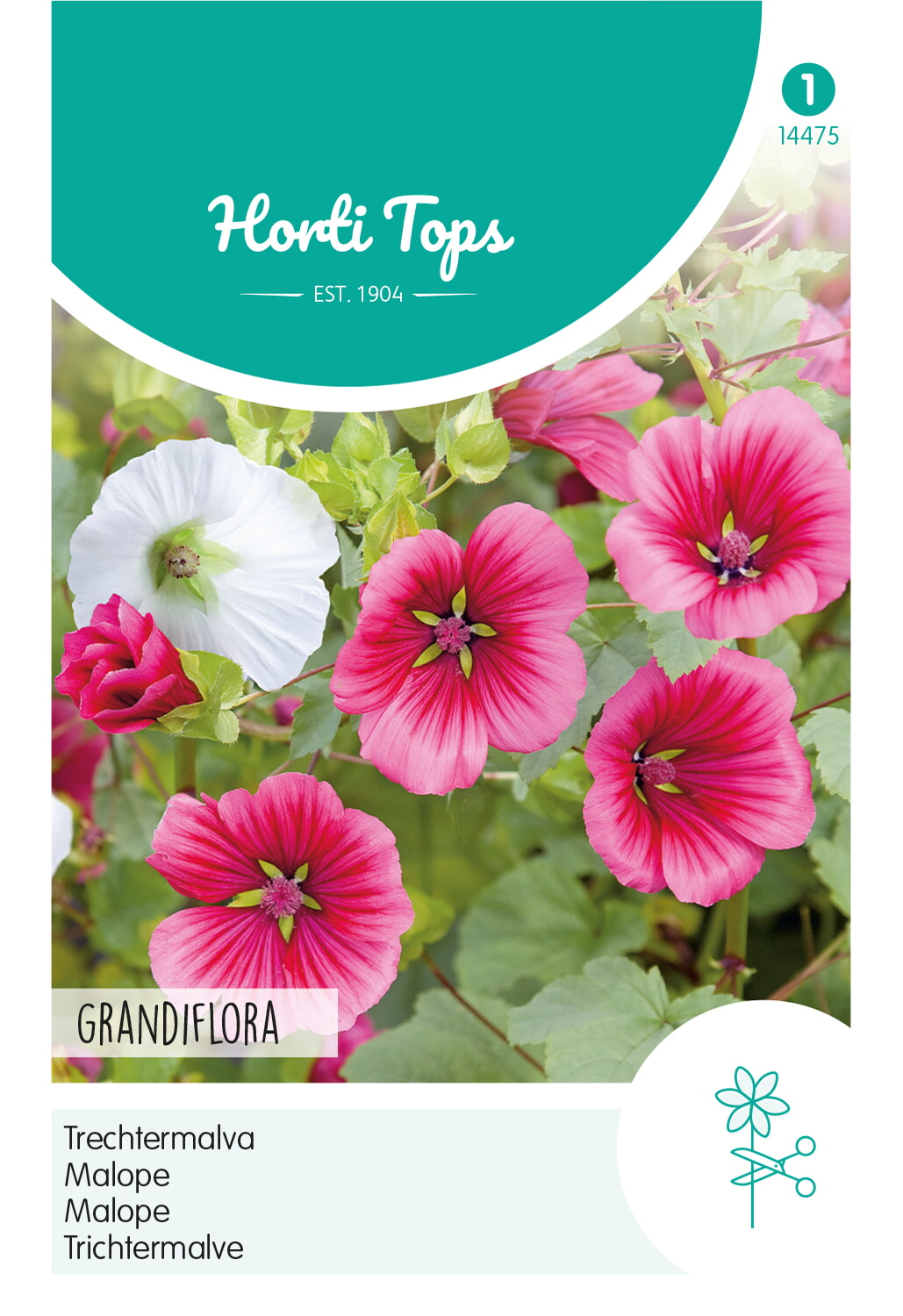 HT Trechtermalva Zaden Gemengd