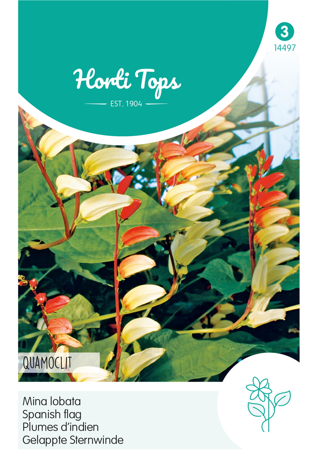 HT Spaanse Vlag Zaden Quamoclit