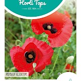 HT Papaver Zaden Tulppapaver