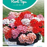 HT Geranium Zaden Magic Beauty F1 Gemengd