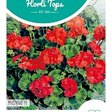 HT Geranium Zaden Mustang F1 Rood