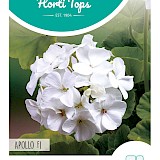 HT Geranium Zaden Apollo Wit F1
