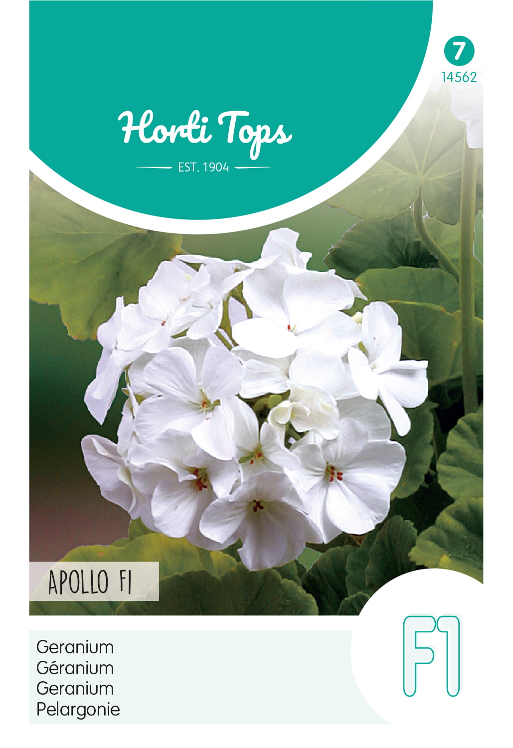 HT Geranium Zaden Apollo Wit F1