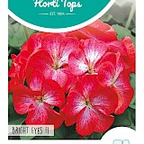 HT Geranium Zaden Bright Eyes F1 Rood/Wit