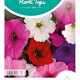 HT Petunia Zaden Cascade F1