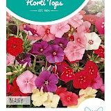 HT Vlambloem Zaden Beauty gemengd