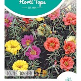 HT Portulaca Dubbelbloemig Zaden gemengd