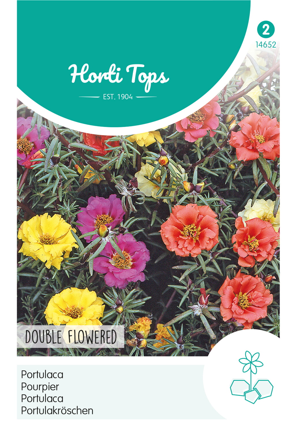 HT Portulaca Dubbelbloemig Zaden gemengd