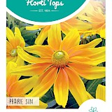 HT Zonnehoed Zaden Prairie Sun