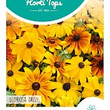 HT Zonnehoed Zaden Gloriosa Daisy gemengd