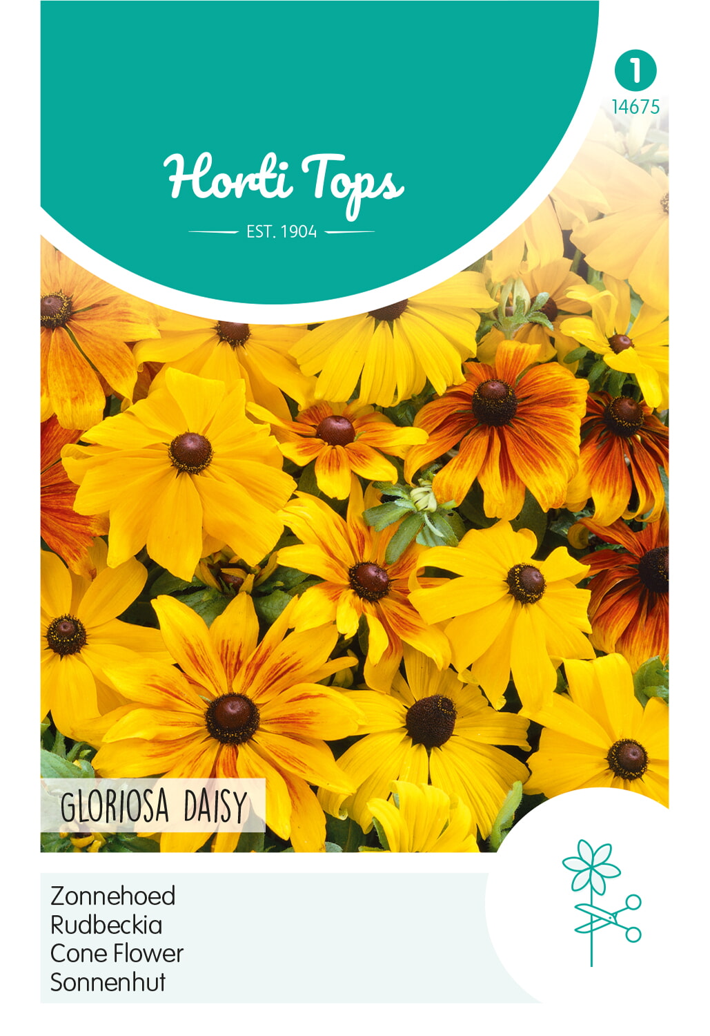 HT Zonnehoed Zaden Gloriosa Daisy gemengd