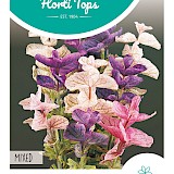 HT Bladsalvia Zaden gemengd
