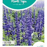 HT Siersalie Zaden Victoria donkerblauw