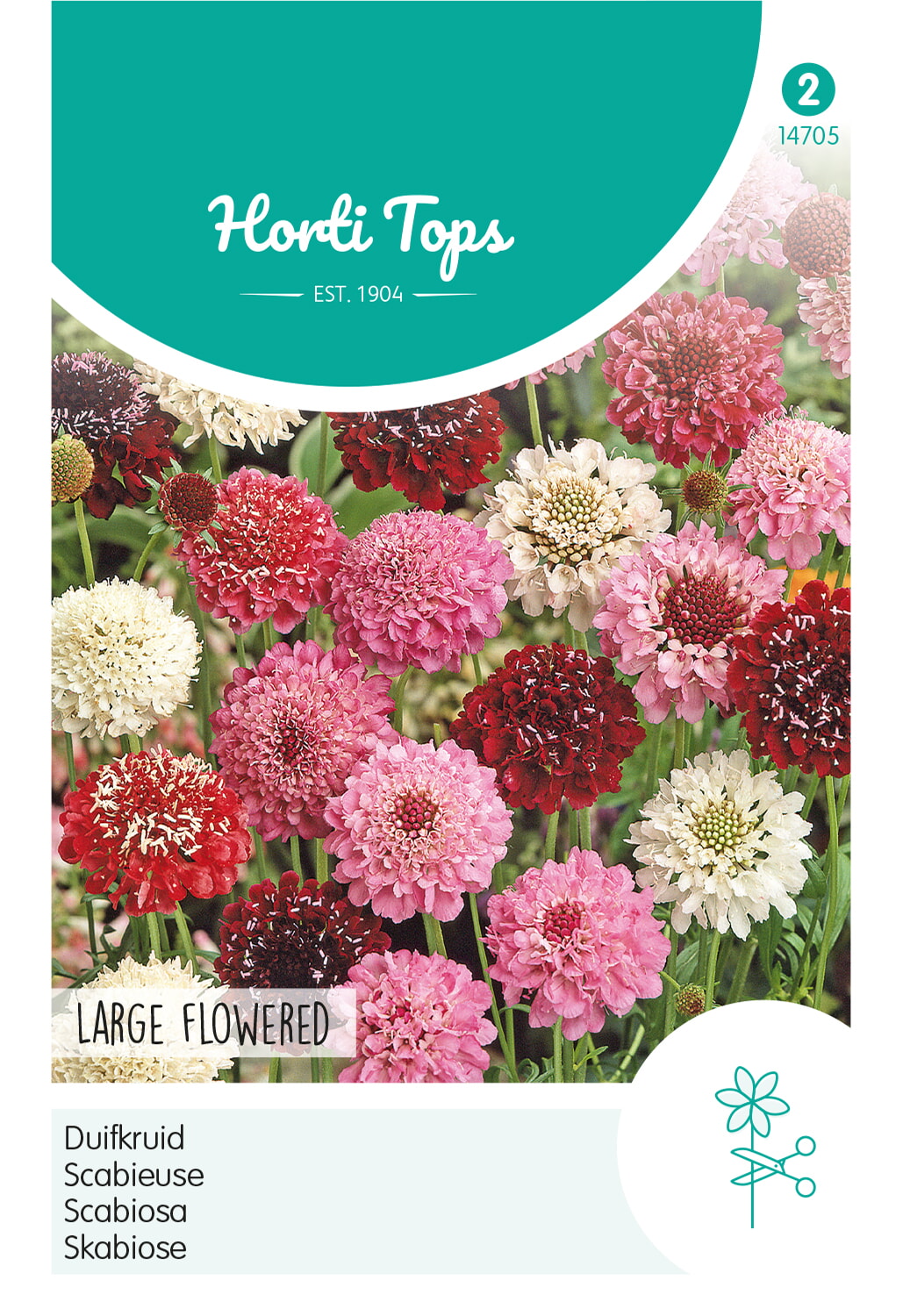 HT Duifkruid Zaden gemengd