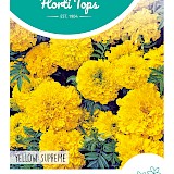 HT Tagetes hoge Afrikaan Zaden Yellow Supreme