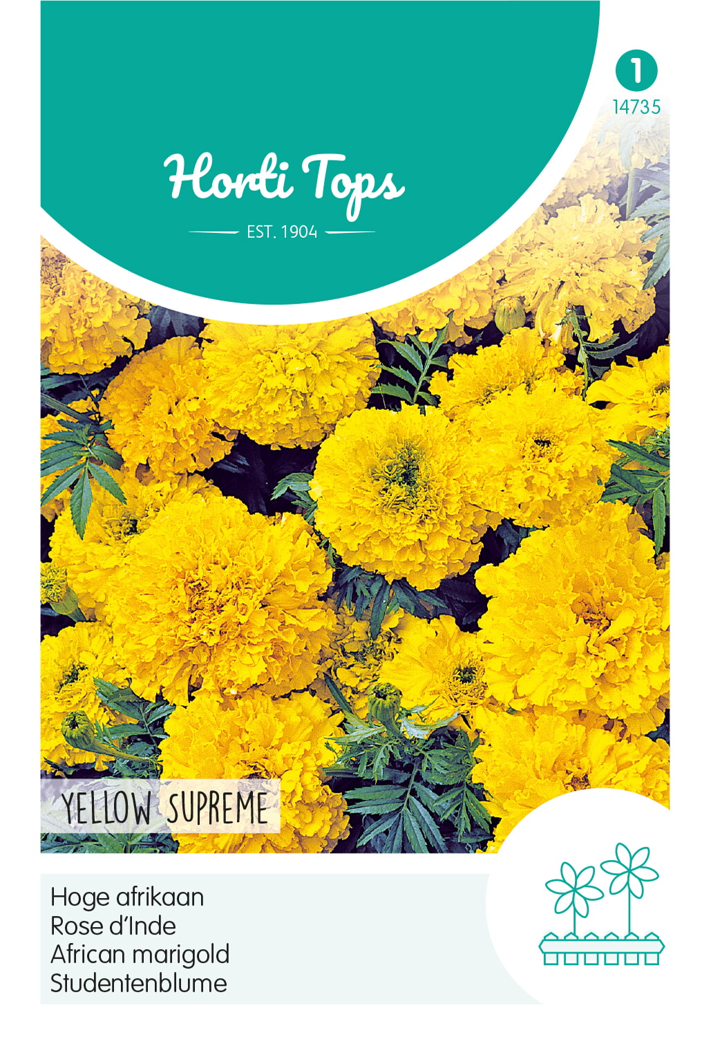 HT Tagetes hoge Afrikaan Zaden Yellow Supreme