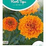 HT Tagetes hoge Afrikaan Zaden Hawaii oranje