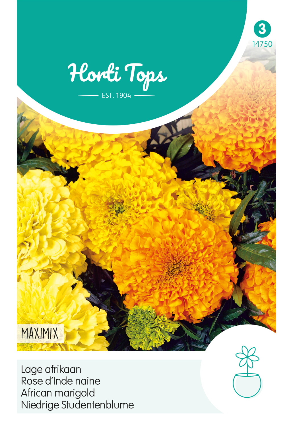 HT Tagetes lage Afrikaan Zaden Maximix