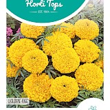 HT Tagetes lage Afrikaan Zaden Golden Age