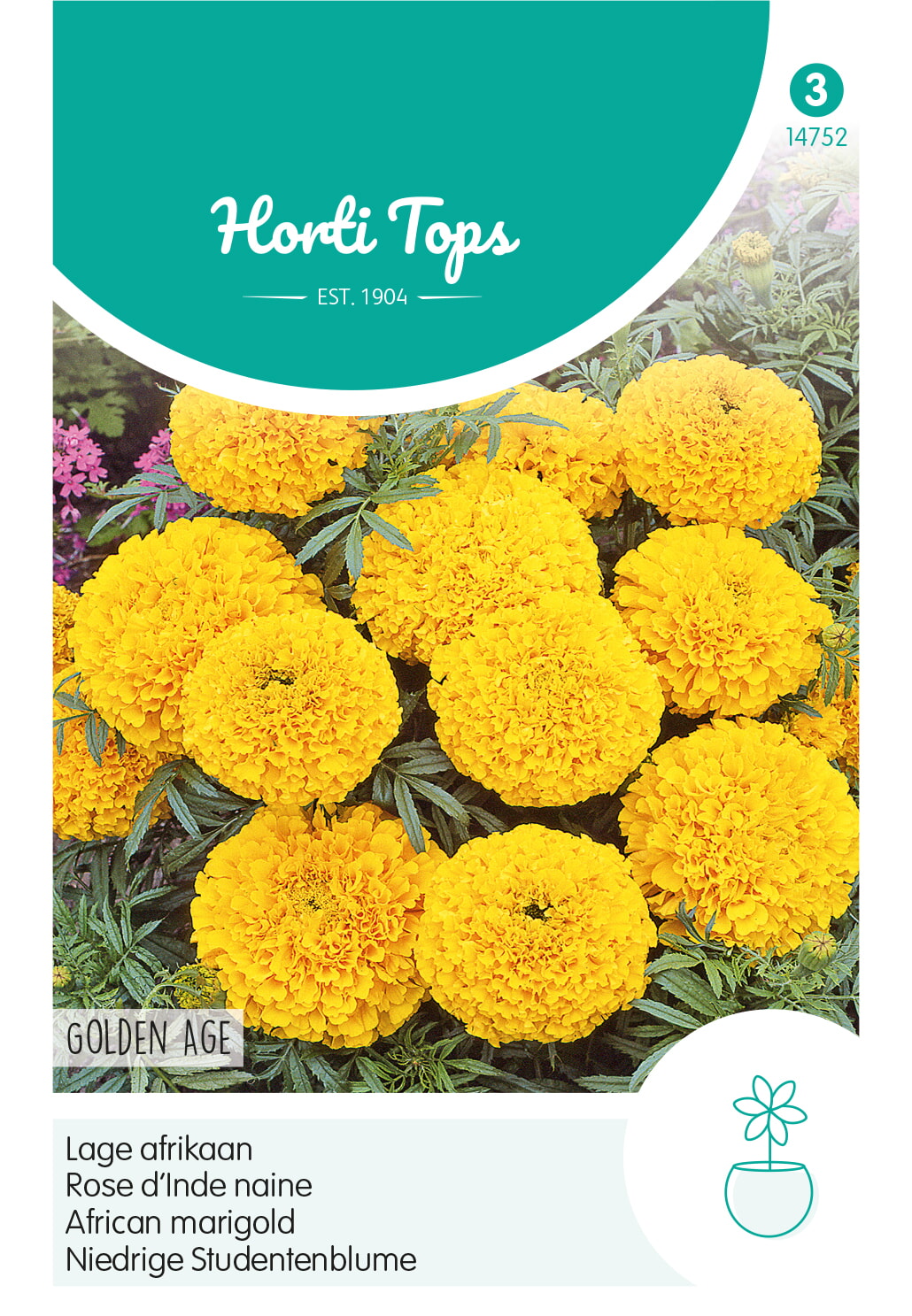 HT Tagetes lage Afrikaan Zaden Golden Age