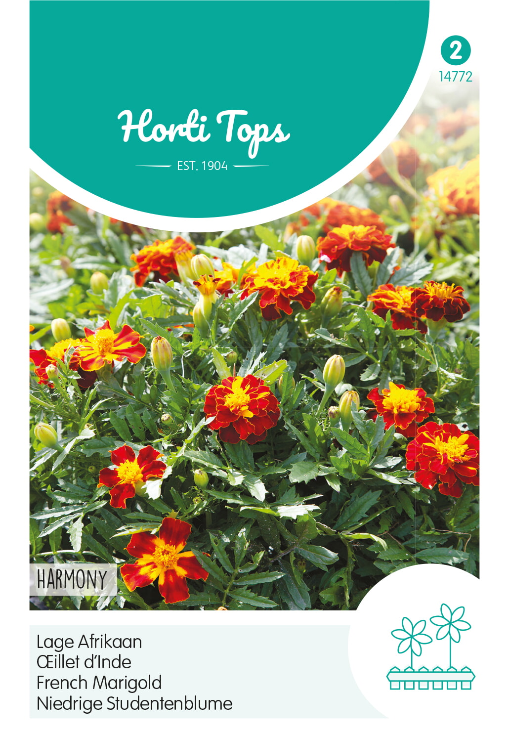 HT Tagetes lage Afrikaan Zaden Petite Harmony