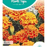 HT Tagetes lage Afrikaan Zaden Bolero