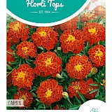 HT Tagetes lage Afrikaan Zaden Carmen
