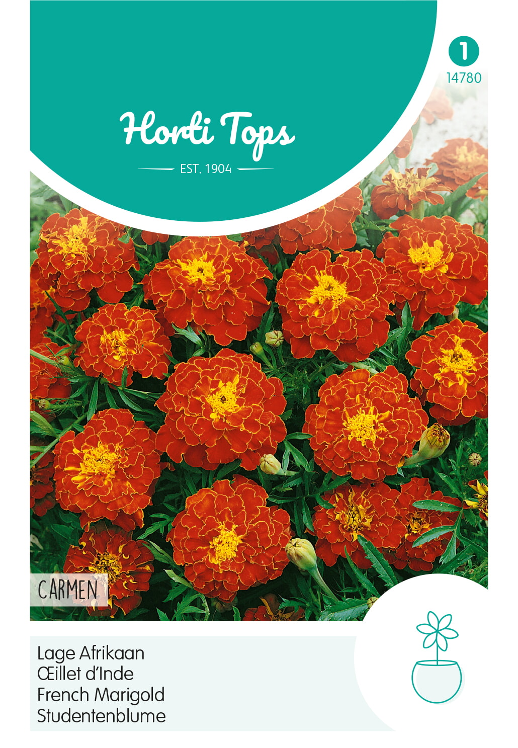 HT Tagetes lage Afrikaan Zaden Carmen