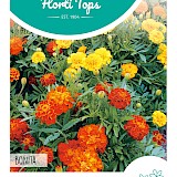 HT Tagetes lage Afrikaan Zaden Bonita gemengd