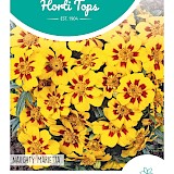 HT Tagetes lage Afrikaan Zaden Naughty Marietta