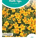HT Tagetes Randjes-Afrikaan Zaden Orange