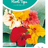 HT Oost-Indische Kers Zaden Glorious Gleam