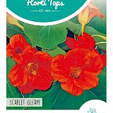 HT Oost-Indische Kers Zaden Scarlet Gleam Rood