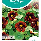 HT Oost-Indische Kers Zaden Black Velvet