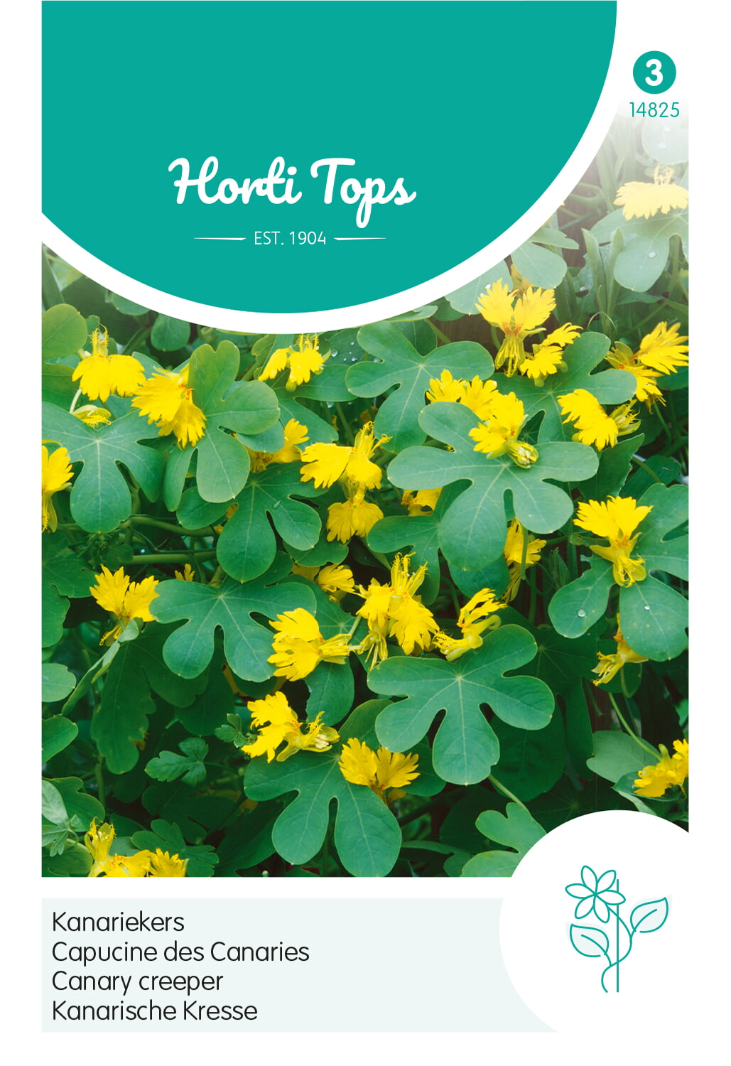 HT Kanariekers Zaden Geel
