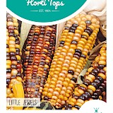 HT Siermais Zaden Little Jewels