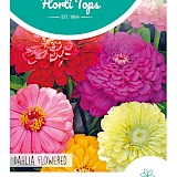 HT Zinnia Zaden Dahliabloemig