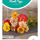 HT Zinnia Zaden Peppermint Stick