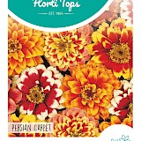 HT Zinnia Zaden Persian Carpet gemengd